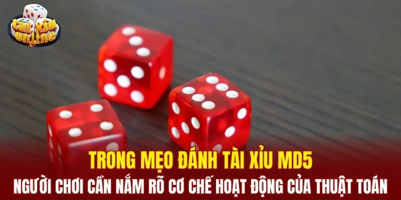 Người chơi cần nắm rõ cơ chế hoạt động của thuật toán